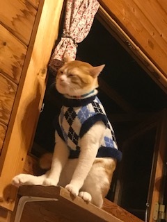 ɴΤ᥻ǭ
